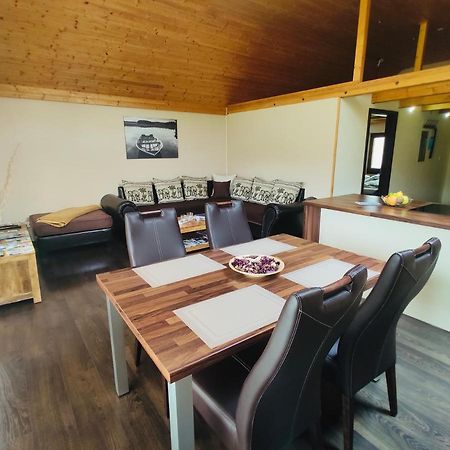 Grand Spa Holiday Home Sklené Teplice Extérieur photo