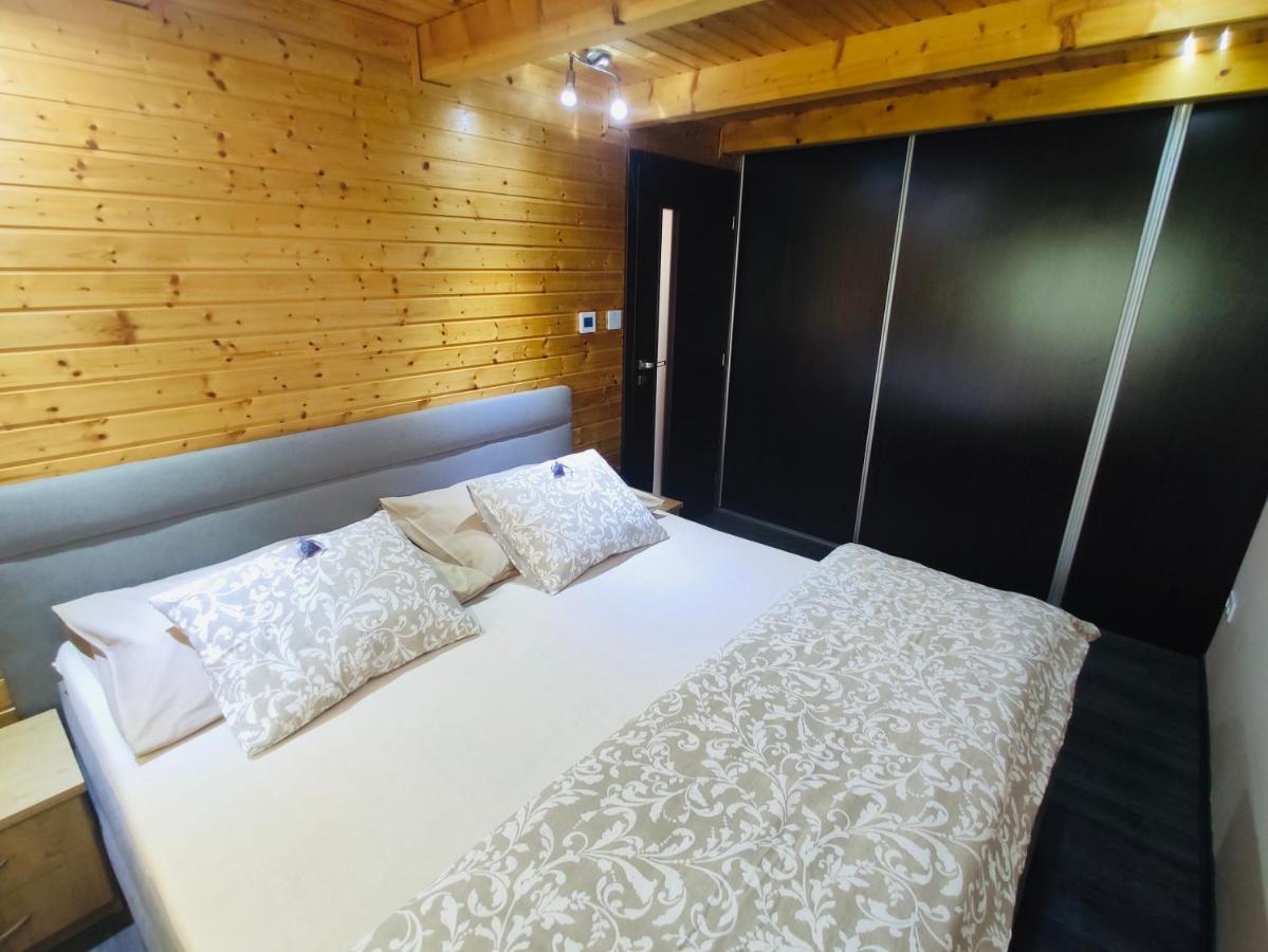 Grand Spa Holiday Home Sklené Teplice Extérieur photo