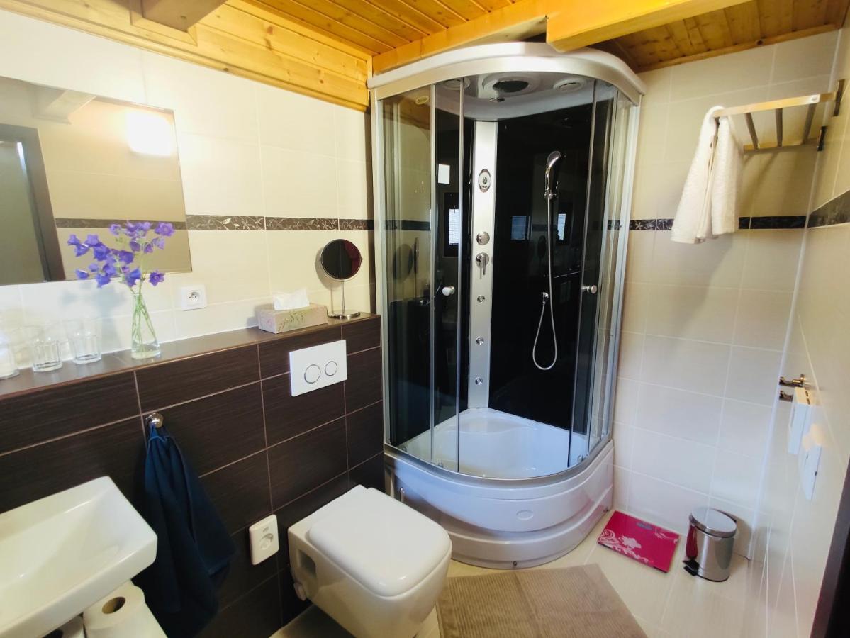Grand Spa Holiday Home Sklené Teplice Extérieur photo