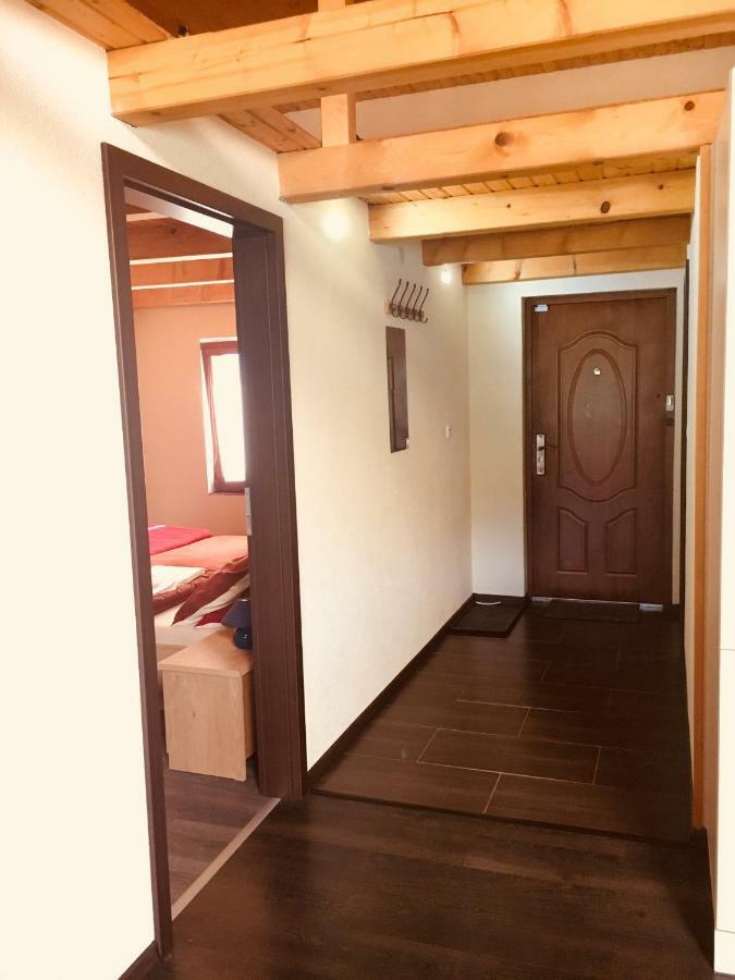 Grand Spa Holiday Home Sklené Teplice Extérieur photo
