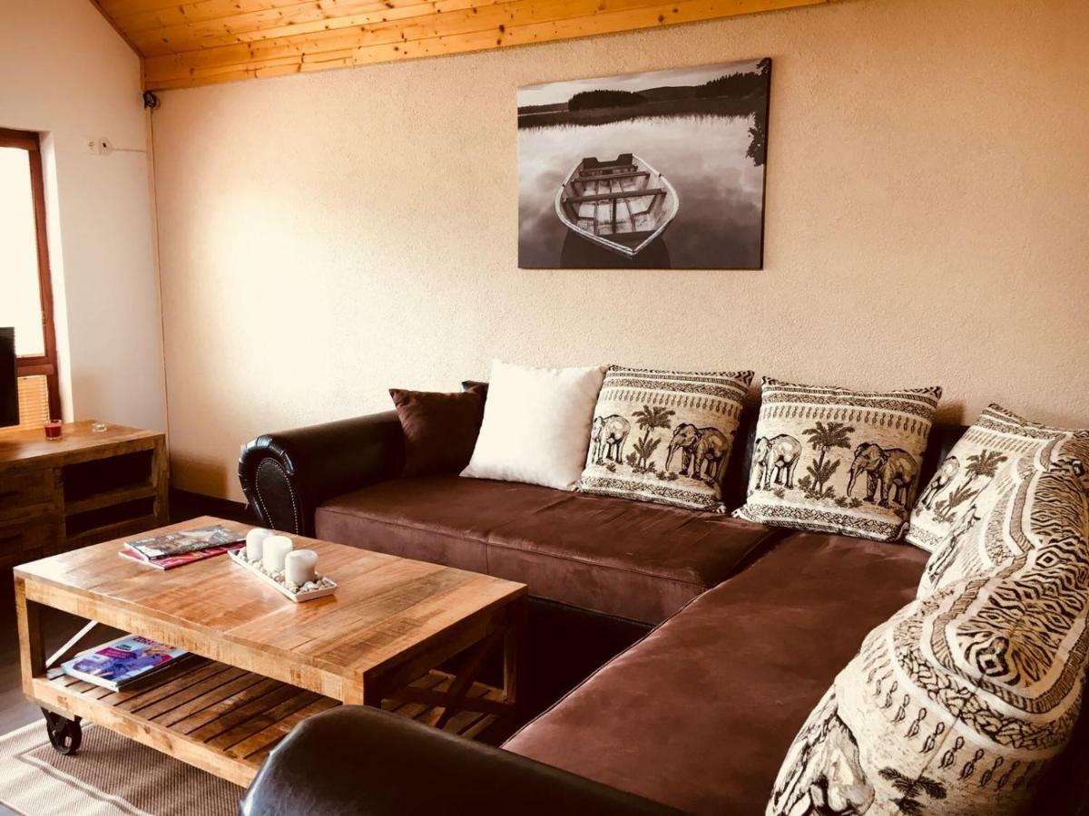 Grand Spa Holiday Home Sklené Teplice Extérieur photo