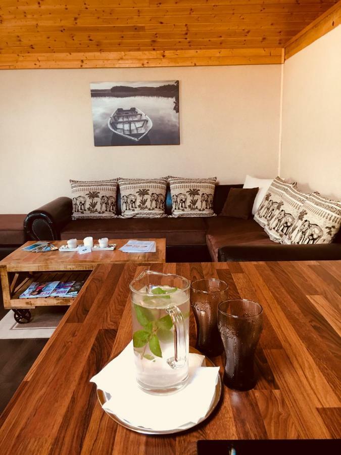 Grand Spa Holiday Home Sklené Teplice Extérieur photo