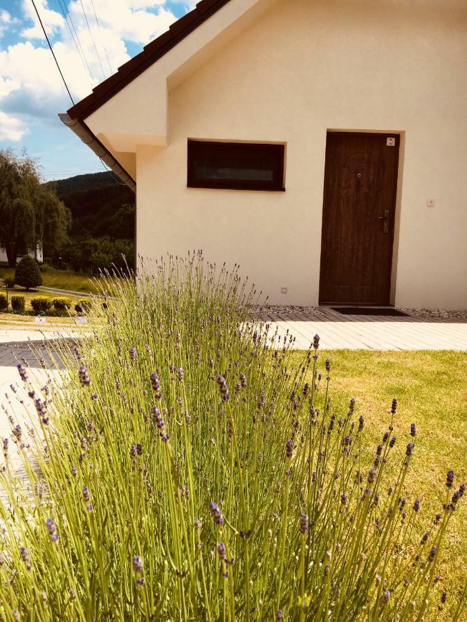 Grand Spa Holiday Home Sklené Teplice Extérieur photo