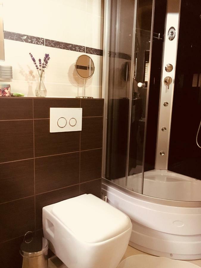 Grand Spa Holiday Home Sklené Teplice Extérieur photo