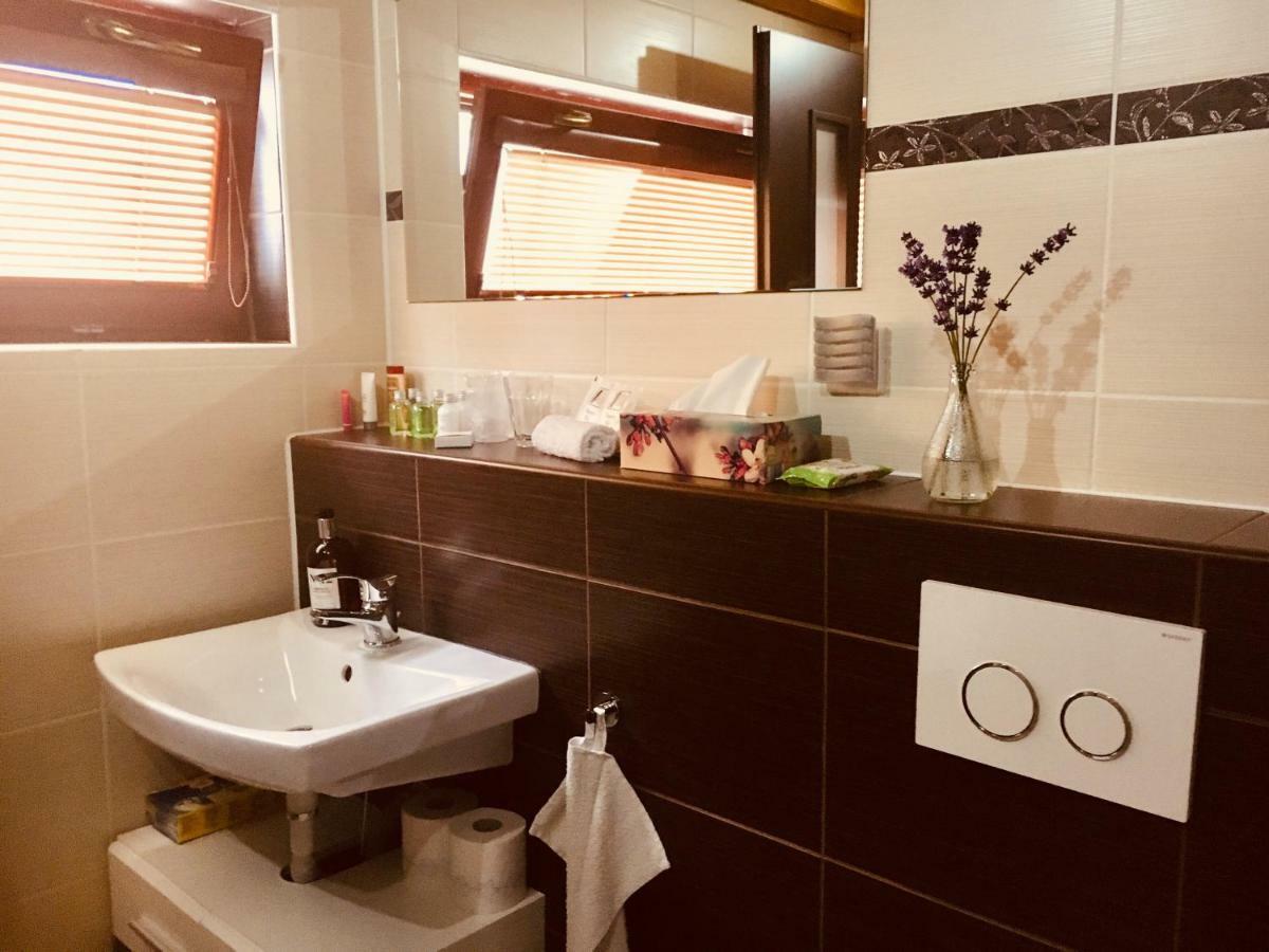 Grand Spa Holiday Home Sklené Teplice Extérieur photo
